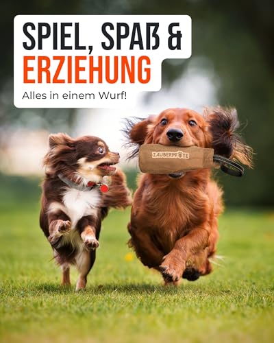 ZAUBERPFOTE Futterbeutel 'Joy' - Mit wasserfestem YKK® Reißverschluss - Apportierbeutel für Hundetraining - Ideal für Leckerlies – Praktische & robuste Leckerlitasche für Hunde