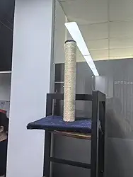 Árvore para gatos de vários níveis, arranhadores, condomínio, rede