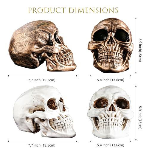 Set de 2 Estatuas de Calaveras de Resina para Halloween miniatura 4