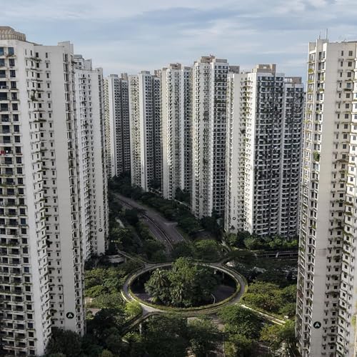 『Forest City: la citt&agrave; fantasma pi&ugrave; grande del mondo ( da 100B$)』のカバーアート