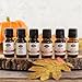 Fabulous Frannie 100% Pure Essential Oil Fall Set - Allspice, Cinnamon, Clove, Nutmeg, Vanilla and Spice Blend .33 Ounce (Pack of 6)