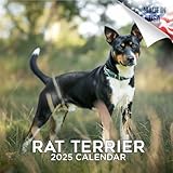 Rat Terrier Calendar 2018 - Dog Breed Calendar - Premium Wall Calendar 2017-2018