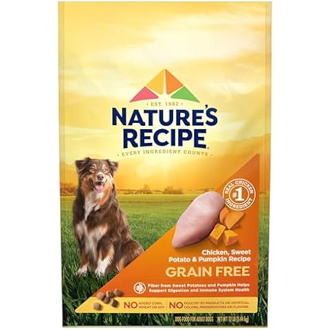 Nature’s Recipe Grain Free Chicken, Sweet Potato & Pumpkin Recipe Dry Dog Food Cover