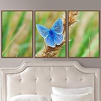 3 Piece Framed Canvas Wall Art Colorful Butterfly Insects Canvas Prints Home Artwork Decoration for Living Room,Bedroom - 16