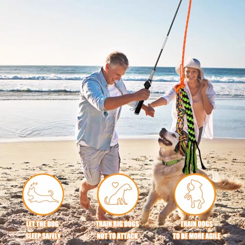 TUAHOO Reizangel für Hunde, Hundeangel für Ultimativen Spielspaß und Körperliche Auslastung - Interaktives Spielzeug Seil Für Kleine, Mittlere und Große Hunde