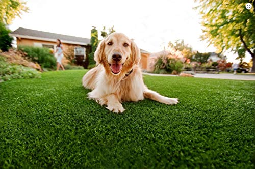 (6x10 ft) Artificial Grass for Dogs Pee Pads Artificial Synthetic Grass shag Turf Realistic Indoor Outdoor Landscape Fake Astro Turf Dog Mat Pad Synthetic Mat Rug Carpet for Garden Backyard