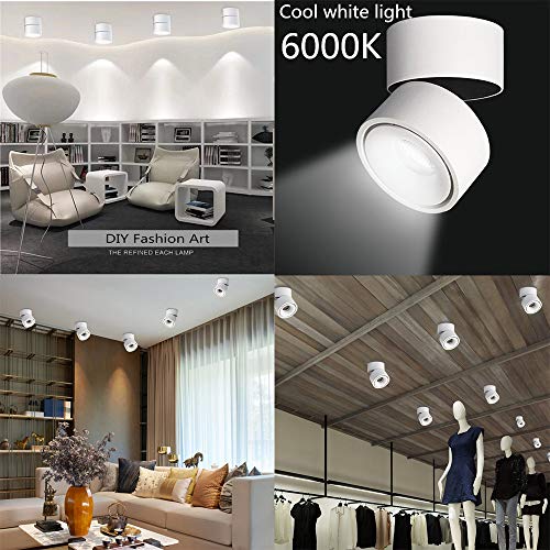Image of LED Ceiling Spotlight-Indoor 360Adjustable Surface Mounted 10W COB Ceiling Downlight-Wall Lamp for Picture Background Wall Display Lighting(White,6000K Cold Light)