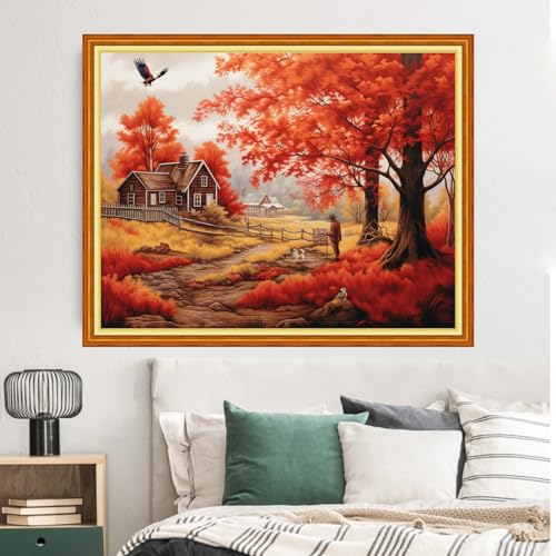 Opiniones de Kits estampados los preferidos por los clientes. 17 Imagen adicional