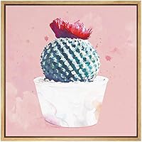 SIGNWIN Framed Canvas Wall Art Mammillaria Spinossisima Cactus with Red Flower in Pink Botanical Succulent Watercolor Abstract Modern Relax/Calm for Living Room, Bedroom, Office - 16