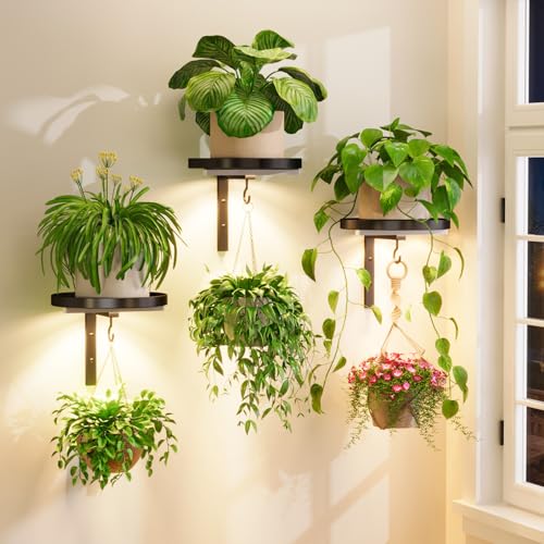iDavosic.ly Plant Wall Hanger with Grow Lights Set of 3 for Indoor, Black