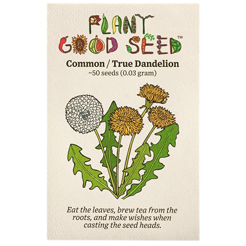 Plant Good Seed Common Dandelion Seeds for Planting: Edible Leaves and Tea Roots, Yellow Blossoms - 50 Seed Packet