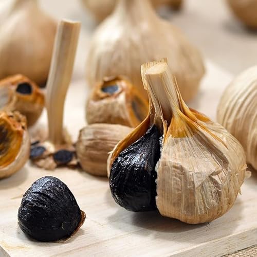 XYn̐Xɂɂ30 (10ʓR)