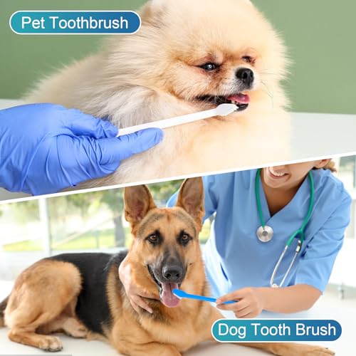 View 3