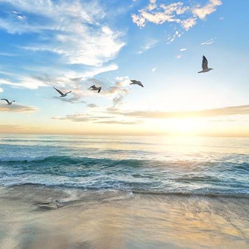 The Poet&rsquo;s Path cover art