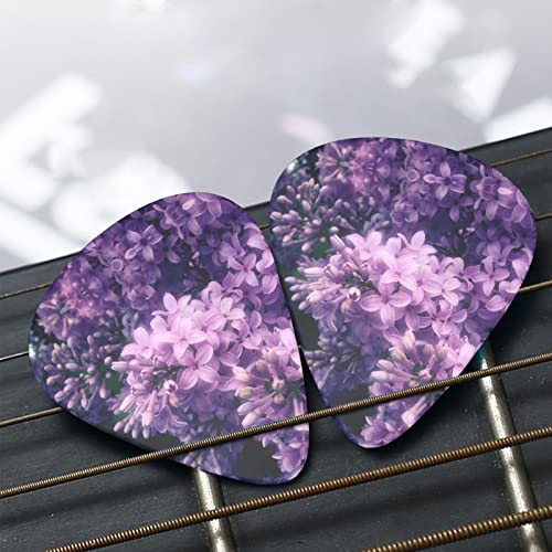 Ensemble de 12 médiators de guitare Purple Flowers pour guitare acoustique, guitare électrique, contrebasse, ukulélé - Les Beatles, Paul McCartney, John Lennon, RIngo Starr, George Harrison Ensemble de 12 médiators de guitare Purple Flowers pour guitare acoustique, guitare électrique, contrebasse, ukulélé – Image 8