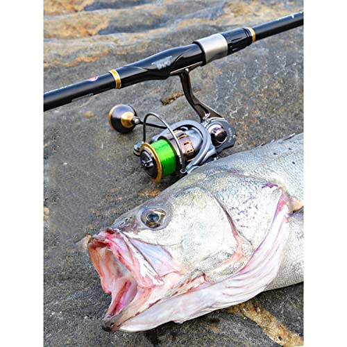 Kit de canne à pêche télescopique pour vos sorties nature et week-ends - 5