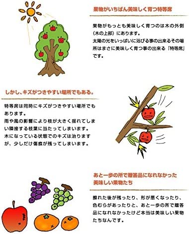 Amazon.co.jp: みかん 甘平 かんぺい 青秀 5L～Lサイズ □ 5kg 愛媛県