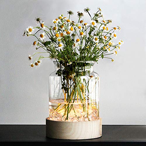 MJ PREMIER Table Glass Vase with LED Lights, Flower Clear Vase with Timing Function, Battery Operated Centerpieces Vase with Wood Tray for Home Decor/Indoor Green Plants/Fish Tank/Wedding/Party etc