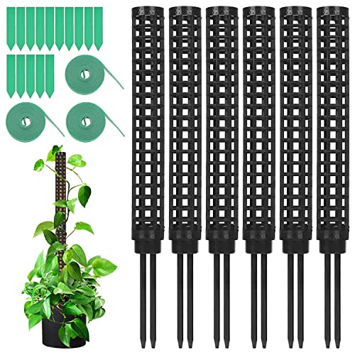 6 Pièces Poteau de Plante grimpante en Pot,Poteau Tuteur Plante en Pot,Tuteur Fibre de Coco,Tuteur Monstera,Tuteur pour Plantes Grimpantes,Tuteur Plante Monstera Support de Plante pour Maison Jardin