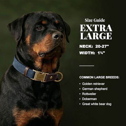 Image of Didog PU Leather Dog Collar for Large Dogs, Soft Nylon Lining, Blue XL