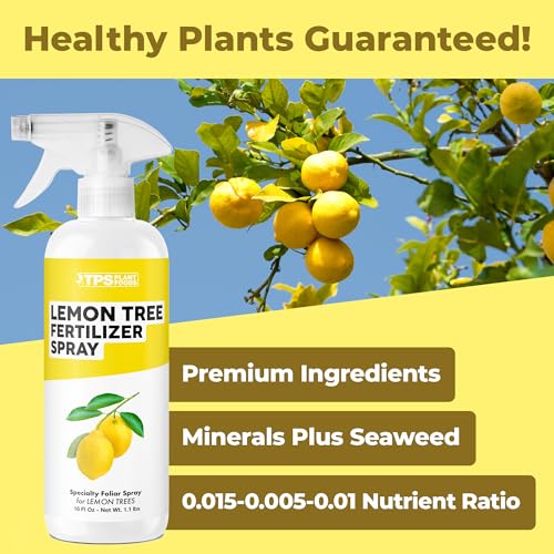 Fertilizante en Spray para Árboles de Limón 16 oz miniatura 2