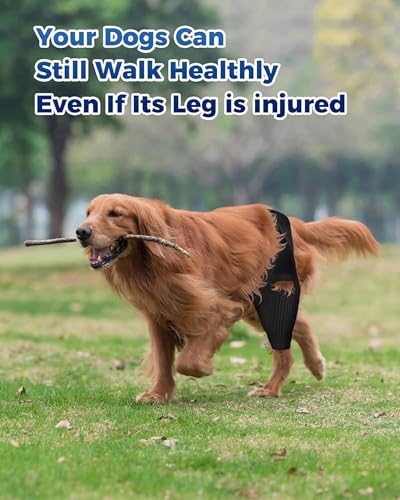 Image of Dog Knee Leg ACL Brace - Dog ACL Brace for Front Torn and Back Hind Rear Legs ACL Tear, Dog Leg Brace for Hip Dysplasia, Dog Arthritis, Luxating Patella, Comfortable and Adjustable (XXXL-Size)