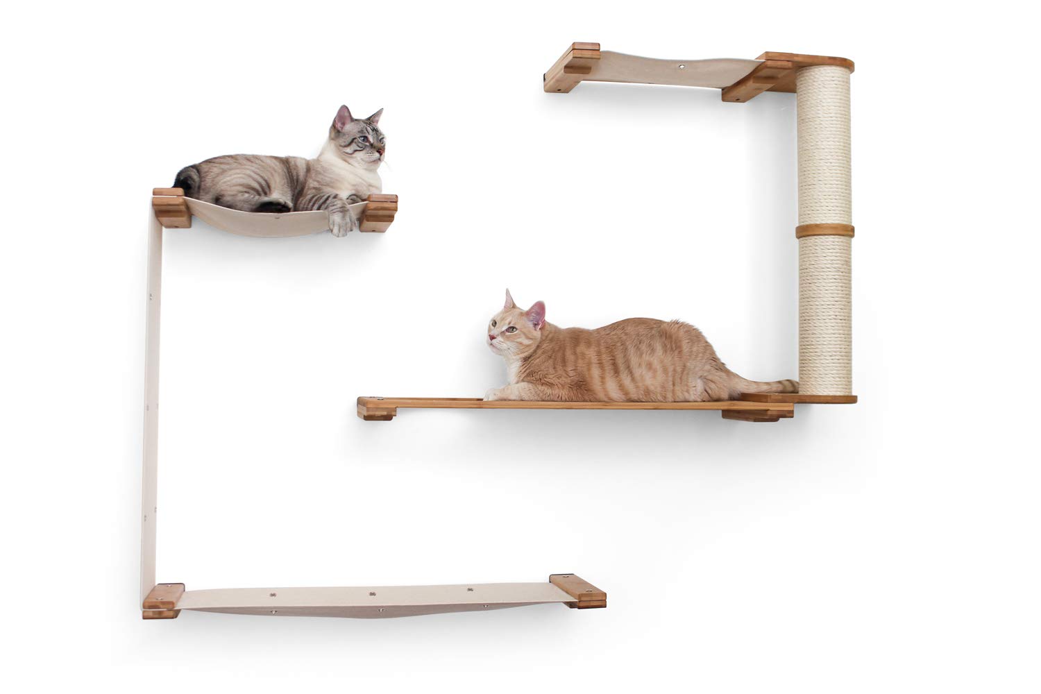 CatastrophiCreations Dakota - Multiple-Level Cat Hammock & Climbing Activity Center Wall-Mounted Cat Tree Shelves, Onyx/Charcoal Gray