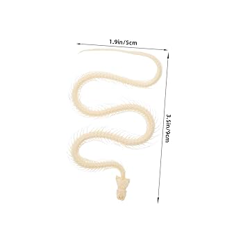 アンテロープ　頭骨 標本 インテリア装飾 アンテロープ 頭骨 標本 インテリア装飾 アンテロープ 頭骨 標本