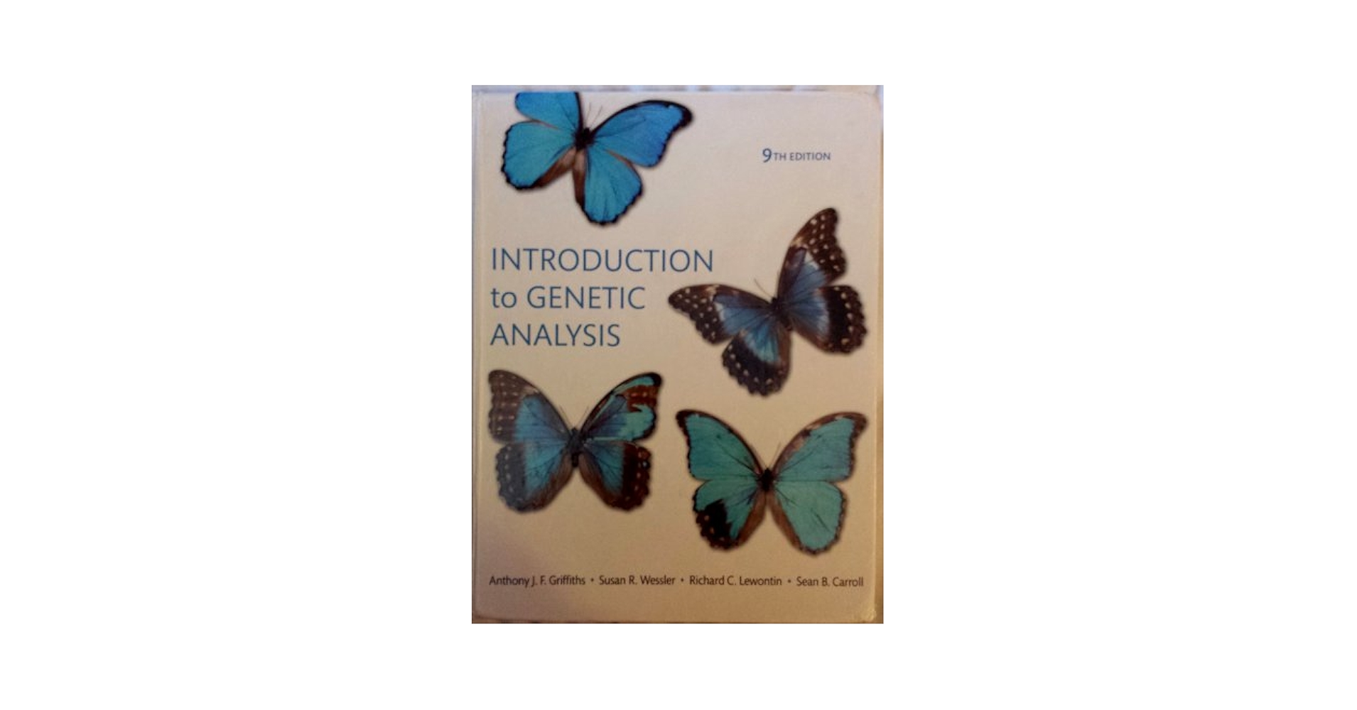 洋書 Introduction to Systems Biology An Introduction to Systems Biology: Design Principles of