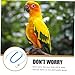 LIOOBO 2pcs Parrot Harness with Leash Outdoor Flying Training Rope for Pet Birds Lightweight Elastic Design for Safe Flight for Parrots and Birds