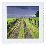 Square dimensions (in inches): 6 L x 6 W, image dimensions (in inches): 4 L x 4 W 100% poloyester; image is soft to touch. Made in USA Edges have pinking shear cut Image will not fade with washing. Image not a transfer, part of material