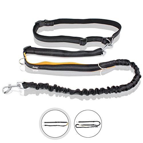 Bella & Balu Hunde Joggingleine mit verstellbarem Taillengurt  Elastische und reflektierende Hundeleine zum freihändigen Joggen, Walken, Spazieren oder Radfahren (S | Für kleine bis mittlere Hunde)