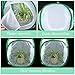 Pllieay 2 Pieces 12 Inch Tall Butterfly Habitat Cage with Instructions and PVC Floor Covers, Collapsible Light-transmitting Terrarium White Insect and Butterfly Net for Kids Raising Insects