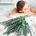 12 PCS Large Dried Preserved Eucalyptus Stems for Shower - 100% Natural Fresh Eucalyptus Plant, Hanging Real Eucalyptus Leaves Bundle for Self-Care Shower, Dried Flowers Vase Arrangement Home Decor