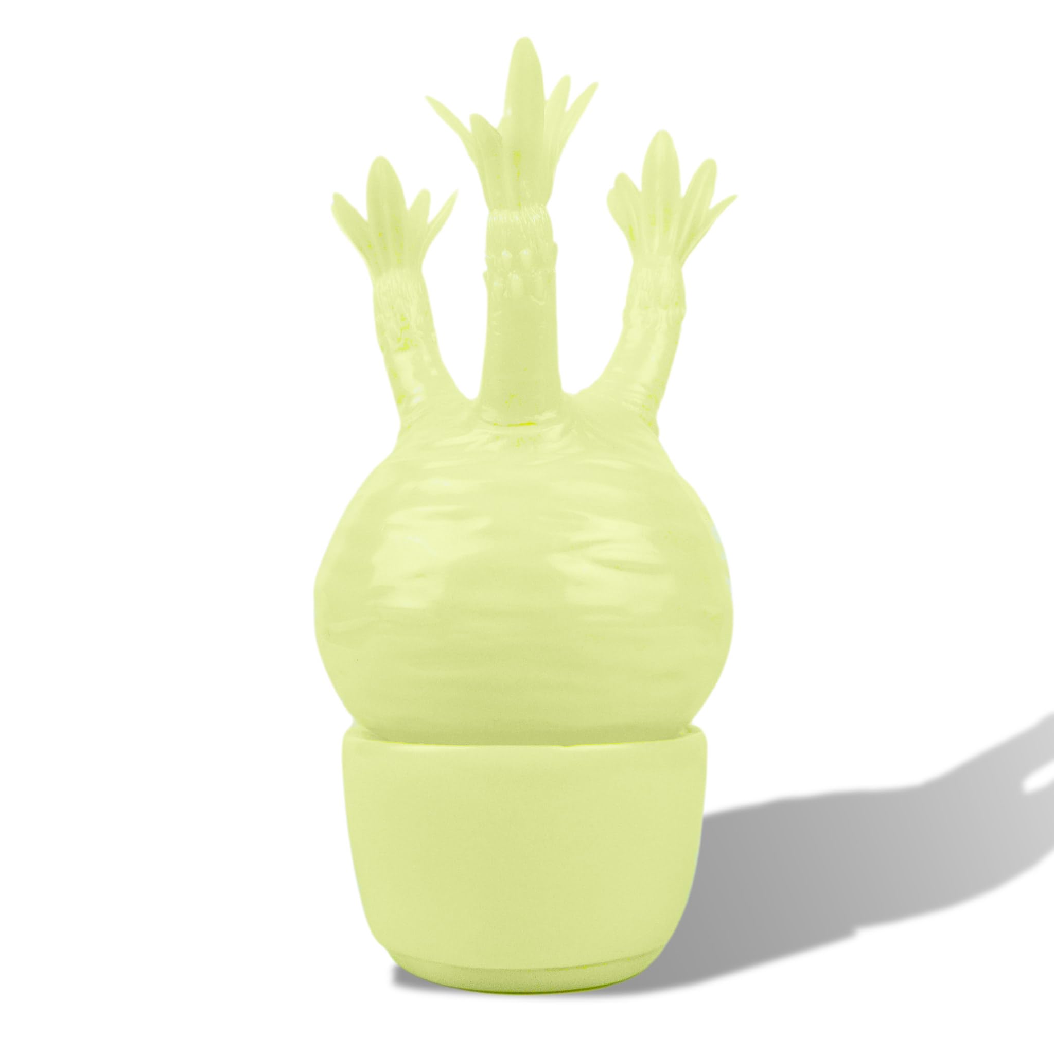 Amazon.co.jp: ボタニートイズクラブ Pachypodium Gracilius 蓄光ver