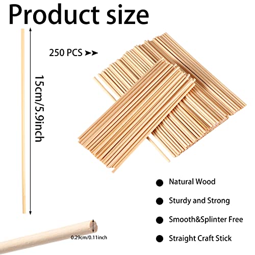 250 Pcs Wooden Dowel Rods, 1/8 X 6 Inch Wood Dowels Craft Sticks Unfinished Natural Dowling Rods Wooden Sticks For Crafting And Diyers #TOP1