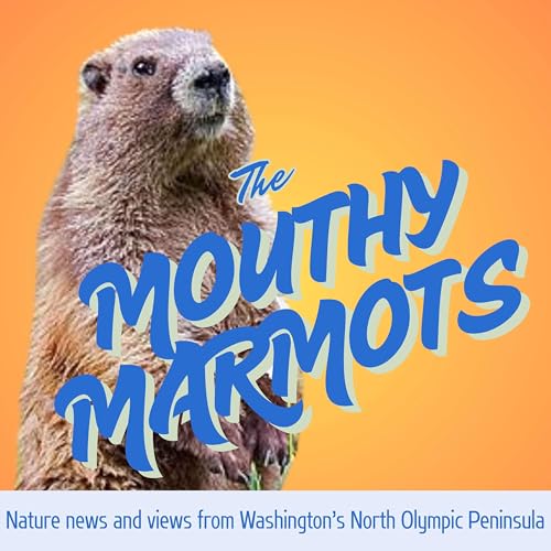 The Mouthy Marmots cover art