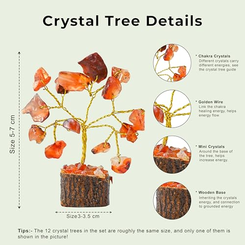 Image of Crocon Set of 12 Crystals Mini Stone Tree of Life Birthday Gifts for Women, Home & Office Decor, Money Tree Healing Crystals Gift Set Mom & Father Gift Ideas Housewarming Gifts New Home Sister & Dad