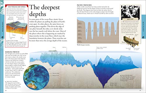 Dk 22862285 Ocean: A Visual Encyclopedia thumb #7