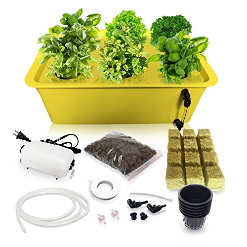 DWC Hydroponics Growing System Kit - Medium Size w/Airstone, 6 Plant Sites (Holes) Bucket, Air Pump, Rockwool - Best Indoor Herb Garden for Lettuce, Mint - Grow Fast at Home by SavvyGrow