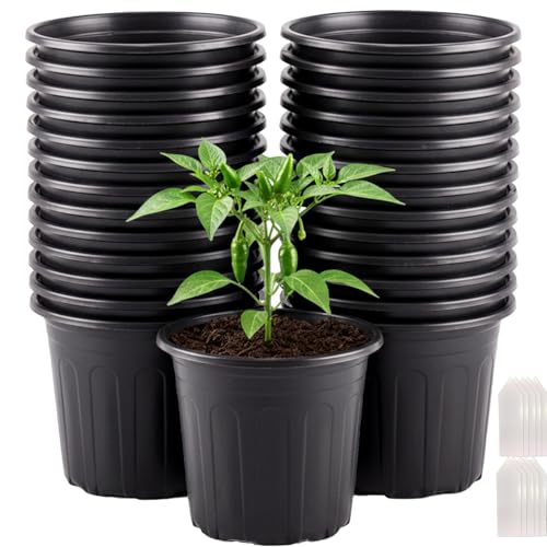 Tulpeed 25 Pack 5 Gallon Flexible Plant Nursery Pots Plastic Seedling Starting Pots with Drainage Holes Soft Flower Pots Plant Container with Plant Labels Black