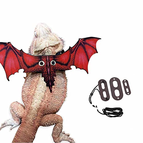 Amazon Best Sellers Best Small Animal Harnesses