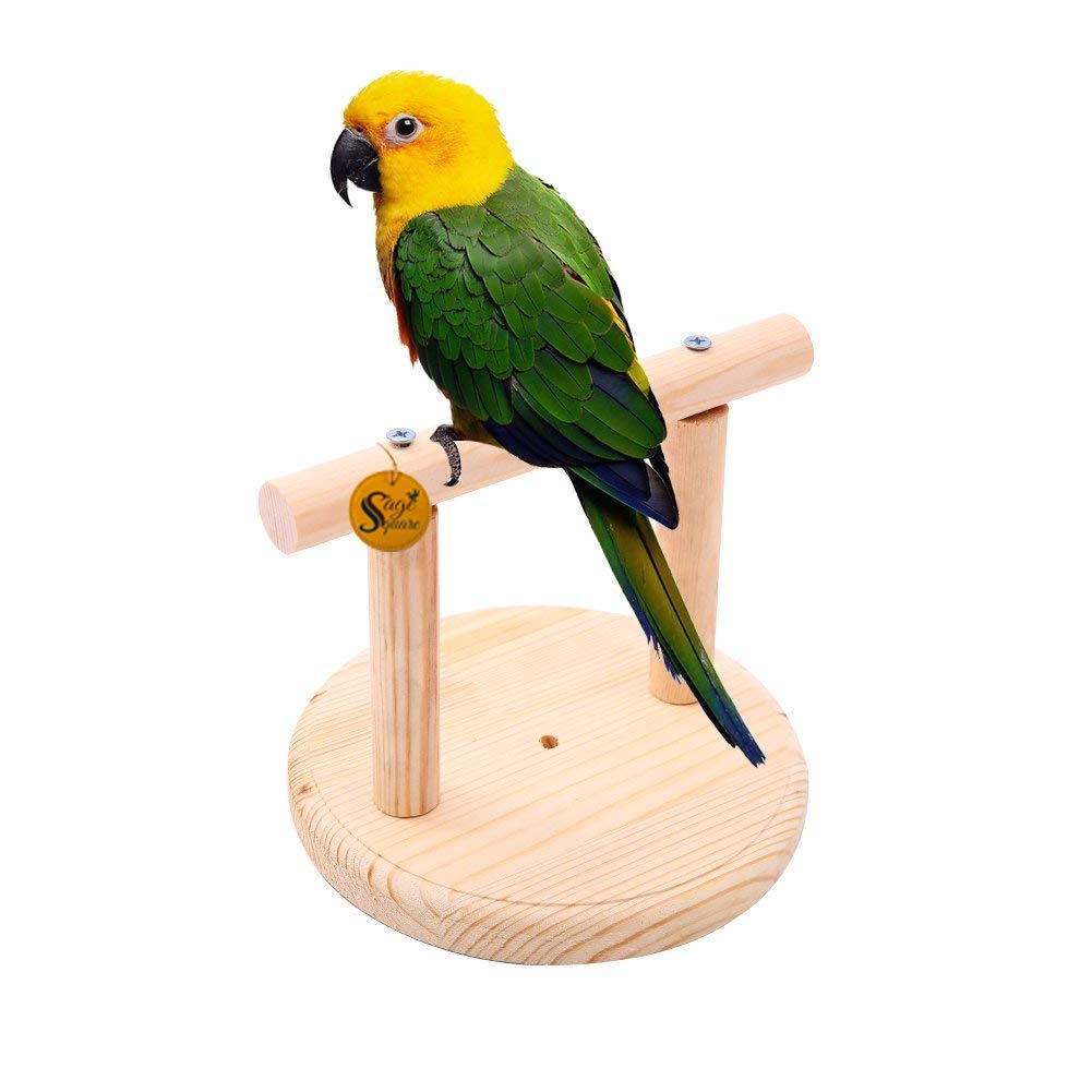 Sage Square Natural Wood Bird Playful Climbing Table Stand for Cage Accessory Perch Bird Toy for Budgies, Cockatiel, Parrot, Conure, Java, Finch, Canary and Other Small Birds (B07WRY4ZDX) Amazon Price History, Amazon Price Tracker