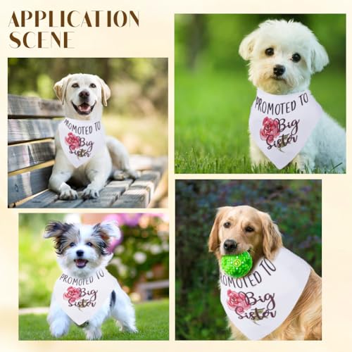 CRASPIRE Promoted to Big Sister Dog Bandana Rose Flower Wedding Pet Bandana White Triangle Pet Dog Scarf Engagement Wedding Announcement Photo Props Collars Accessories for Pet Dog Lovers Gifts - Image 4