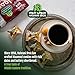 HB Halwani Bros Cookies, Mamoul Made with Premium Saudi Dates, 100% All-Natural, Shortbread Biscuits, Date Filled, Slightly Sweet 12ct. 16.9 oz