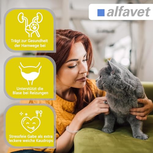 Alfavet FeliGum Struvit 3x160g Hund Katze unterst. Auflösung von Struvitsteinen