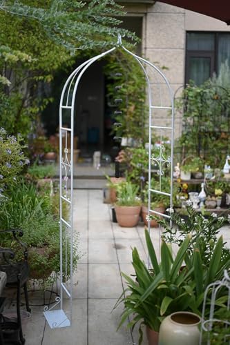 K[fA[` S ACA [YA[` t[A[` gX pCva 13mm  80× s 30×  205cm KтȂ NC~Ovgp o KN K[fjO  ό pr (zCg)