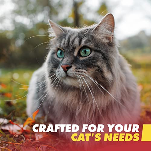 Emergency Zone - Cat Emergency Survival Kit - Bug Out, Emergency, Travel Kits, First Aid - Deluxe #TOP2