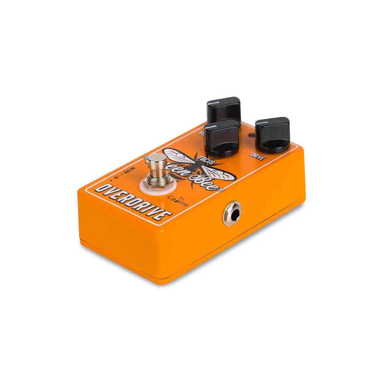 Caline CP-503 Queen Bee Overdrive - Overdrive Pedale