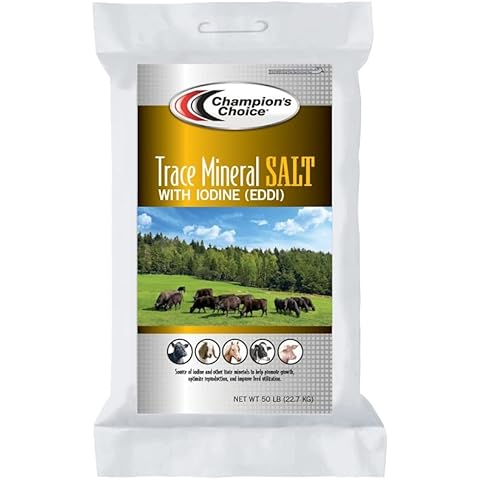 Iodized Salt 50lb Paper Bag Cover